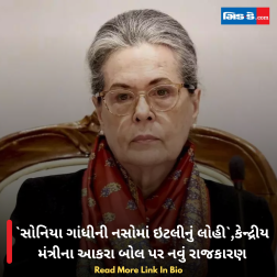 સોનિયા ગાંધીની નસોમાં ઇટલીનું લોહી,કેન્દ્રીય મંત્રીના આકરા બોલ પર નવું રાજકારણ